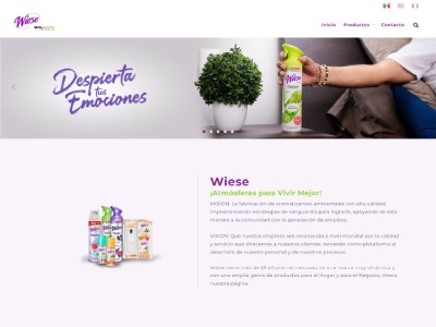 Página Web / Catalogo Web Multilingüe - Wiese